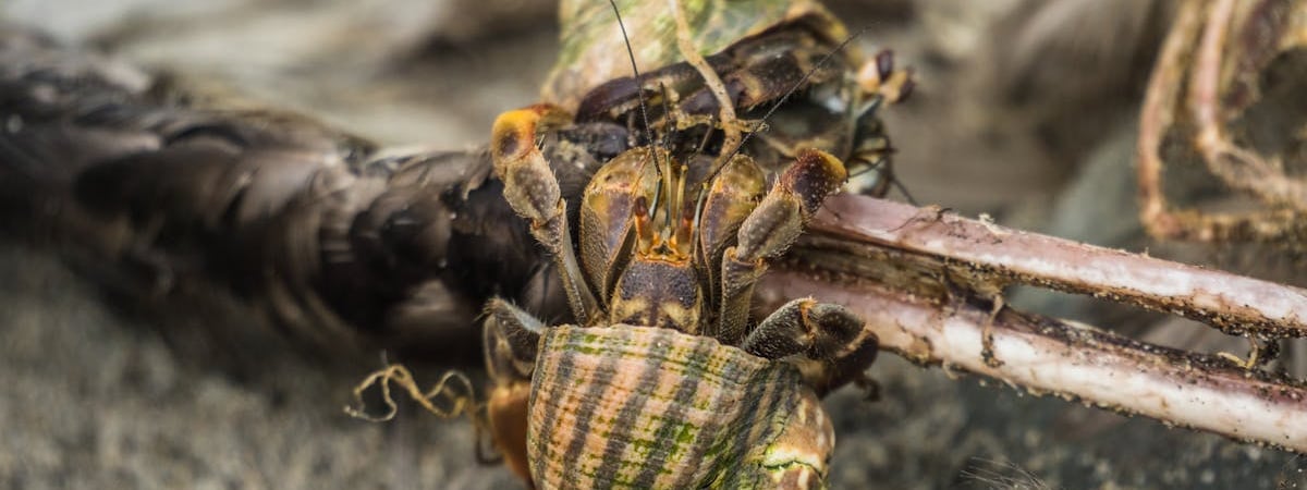 Три человека погибли при обстреле Запорожской области