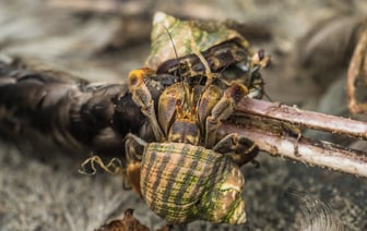Три человека погибли при обстреле Запорожской области