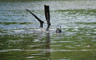 В Миорском районе утонул мужчина, решивший искупаться после бани. Счет утонувших достиг четверти сотни