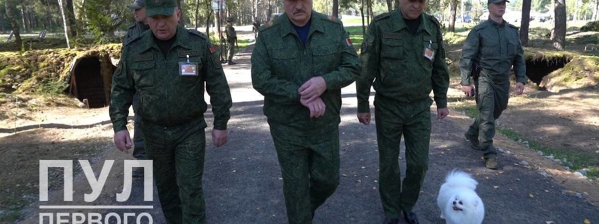 Шрайбман: «Все, что начинается с такого фарса со шпицем Умкой, на практике может приводить к реальным политическим последствиям»