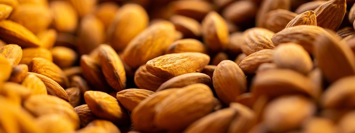 Двое полицейских погибли в результате российского удара по Сумскому району