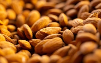 Двое полицейских погибли в результате российского удара по Сумскому району