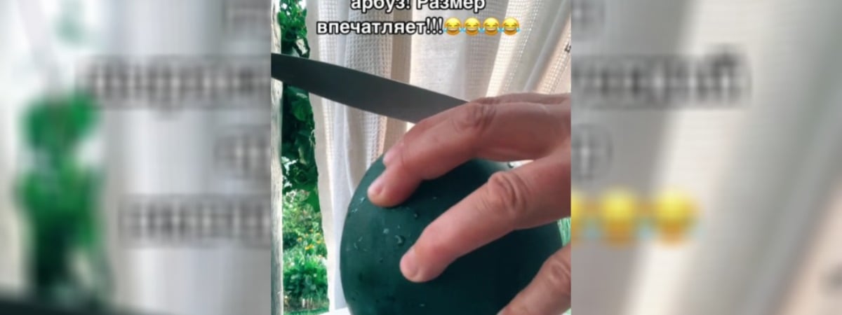 «Подозрение, что черри» — Белорусы похвалились в TikTok выращенными в 2024 году арбузами — Видео