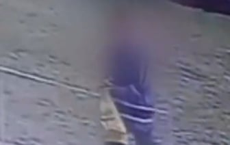 В Бресте 58-летний мужчина украл детскую игрушку