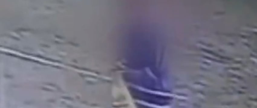 В Бресте 58-летний мужчина украл детскую игрушку
