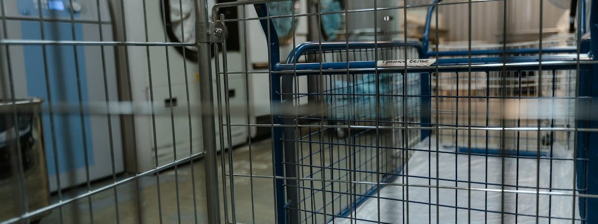 Конкурентка Трампа попросила о защите Секретной службы из-за угроз