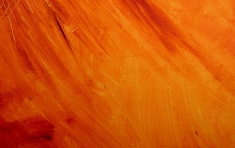 Из-за ветра объявлен оранжевый уровень опасности на Полесье