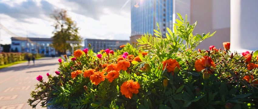 Гомель – лучший город на Земле. Вот почему