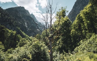 Немецкие компании создали крупнейшую в мире солнечную электростанцию для дома