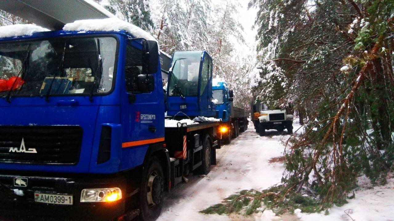За прошедшие сутки из-за непогоды электроснабжение нарушалось в 195 населенных пунктах Брестской области