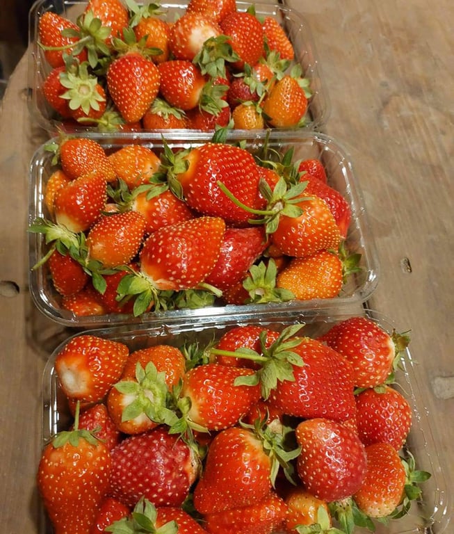 Житель Барановичей собрал второй урожай клубники