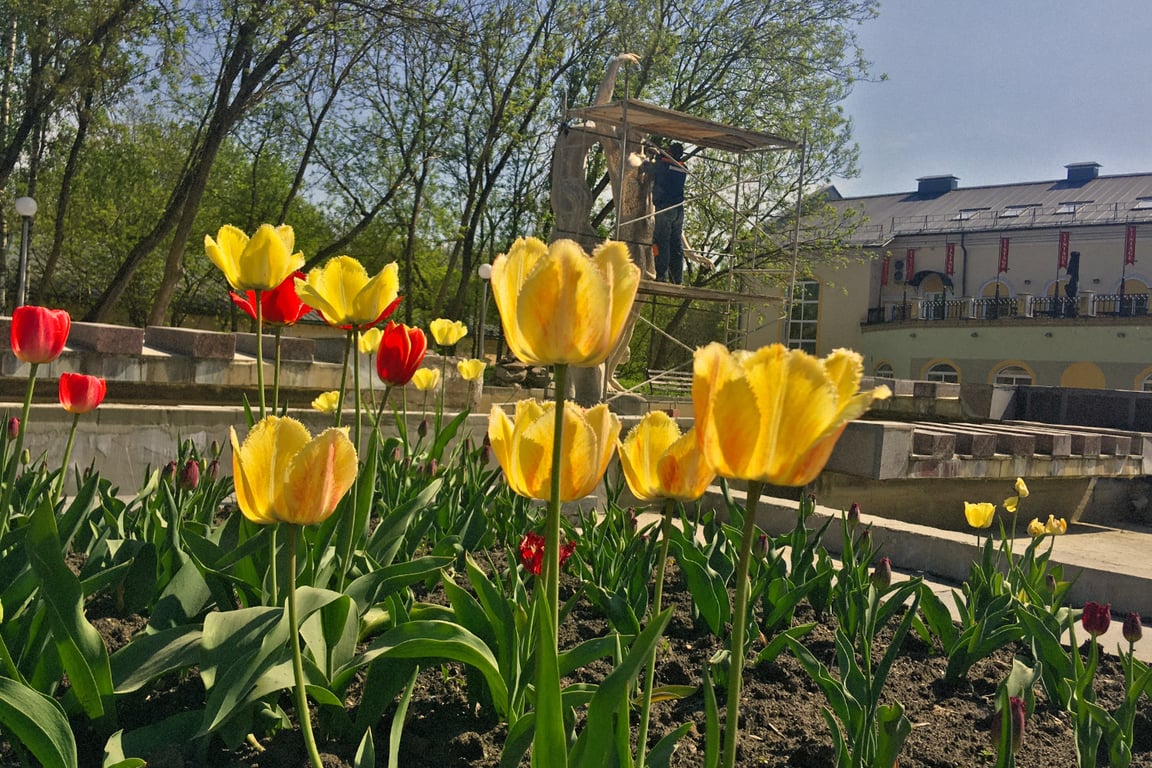 В Витебске делают пилинг девушкам из городского фонтана. Фото Сергея Серебро