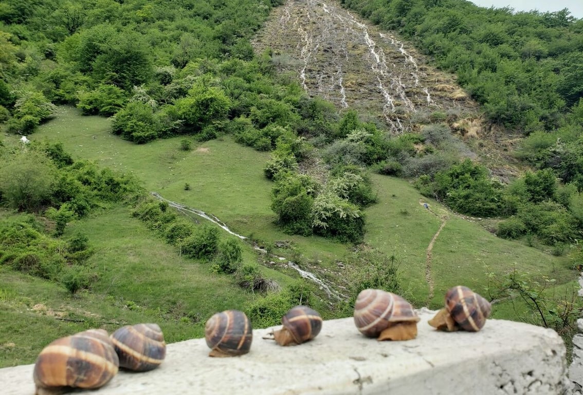 В Грузию на Buick Encore. Семья из Беларуси проехала 6 600 км — во сколько обошлось такое путешествие?