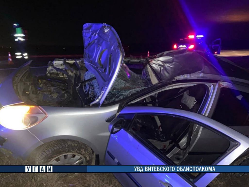 Лось стал причиной смертельного ДТП