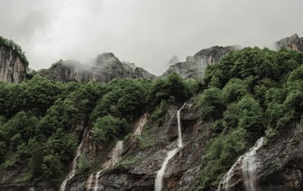 Полоцкий район попал в рейтинг грибных мест Беларуси