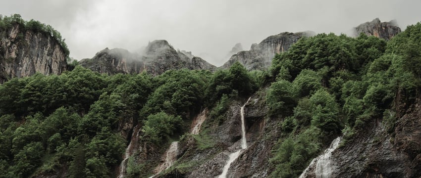Полоцкий район попал в рейтинг грибных мест Беларуси