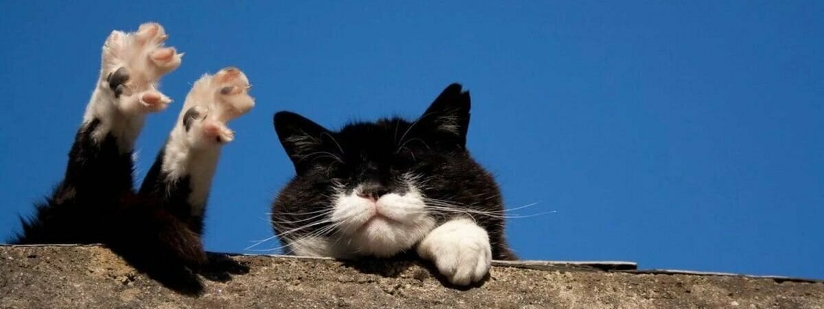 «Но не как в прошлый раз» — Синоптики предупредили белорусов от температурных качелях от +25°C до +12°C на предстоящей неделе — Фото