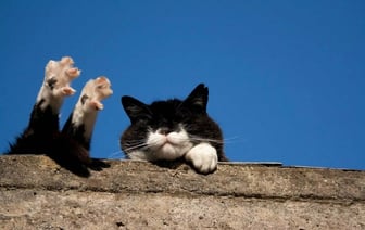 «Но не как в прошлый раз» — Синоптики предупредили белорусов от температурных качелях от +25°C до +12°C на предстоящей неделе — Фото