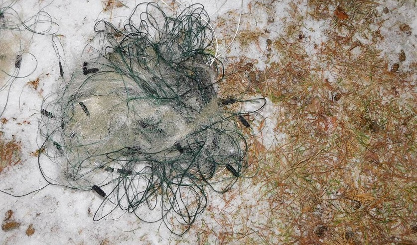 Браконьеры наловили рыбы на 1400 долларов, уголовное дело возбуждено в Бешенковичском районе. Фото СК