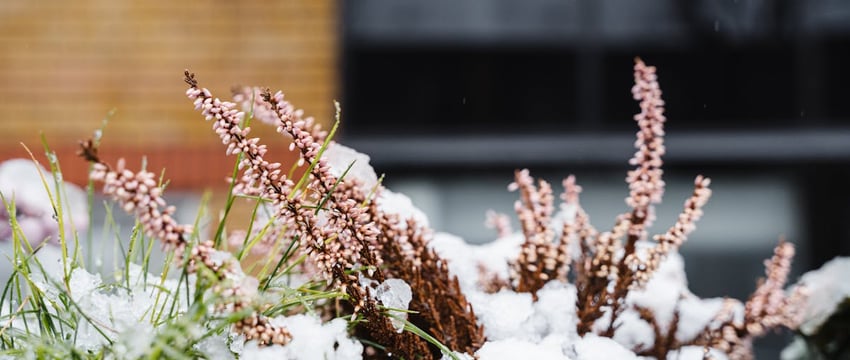 Прогноз от синоптиков: какой погодой прощается с Полоцком и Новополоцком март?