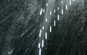 В США во время футбольного матча охранники почти 3 минуты гонялись за енотом — Видео