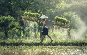 ВВП Китая в I полугодии вырос на 5%