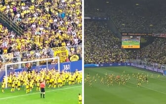 Футболисты Боруссии сыграли сразу против 100 соперников на поле. Это как? — Видео