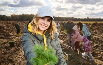 Плюс 2,5 га. Кто помогает восстанавливать лес в Гомельской области