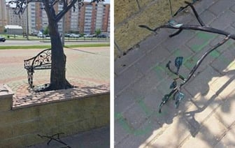 В Барановичах установили, кто отломал ветку у кованого дерева. И это совсем не тот, на кого можно было подумать