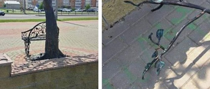 В Барановичах установили, кто отломал ветку у кованого дерева. И это совсем не тот, на кого можно было подумать