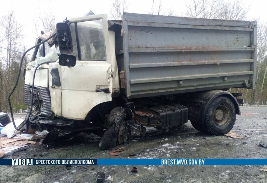 Страшное ДТП произошло в Брестской области. Погиб молодой водитель