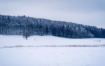 Сложные погодные условия на дорогах Полоцка и Новополоцка: ГАИ фиксируют ДТП