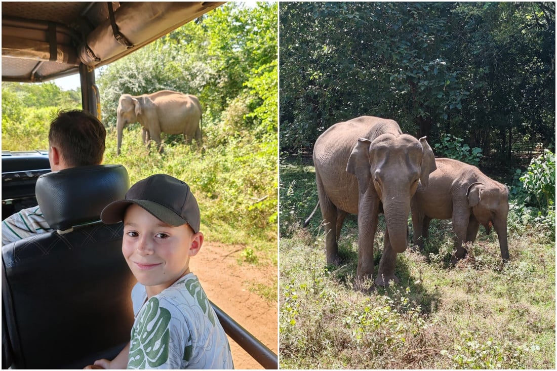 Двое суток провели в самолете — оно того стоило? Слетали на тропический остров посреди зимы и делимся впечатлениями