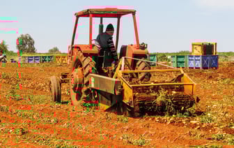За 9 месяцев экономически активное население Витебской области сократилось на 6200 человек