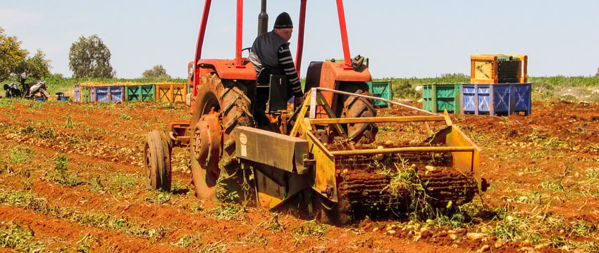 За 9 месяцев экономически активное население Витебской области сократилось на 6200 человек