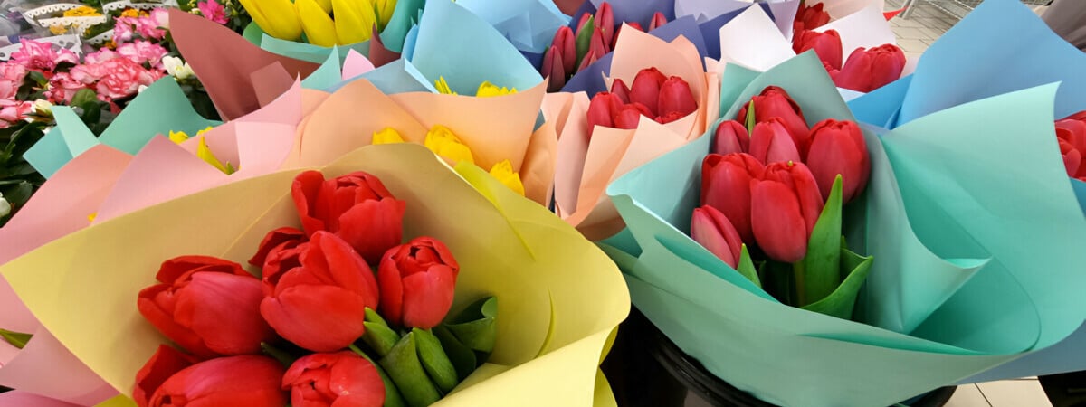 В белорусских магазинах появились тюльпаны. И уже со скидками — Фото