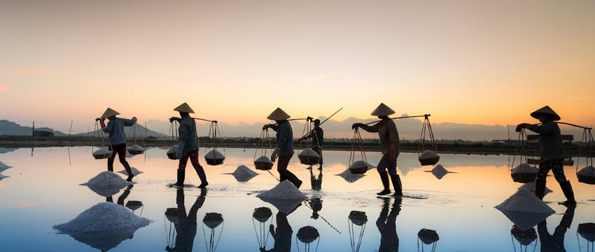 За вклад в развитие культуры. Кому в Новополоцке вручили премии «Признание»?