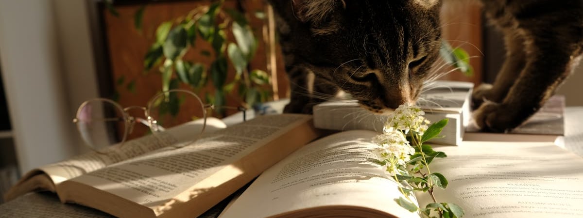 Туск призвал Дуду и оппозицию поддержать новые миграционные законы