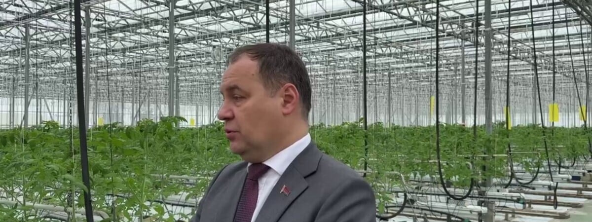 Головченко пообещал снижение цен на белорусские овощи в межсезонье. За счёт чего?