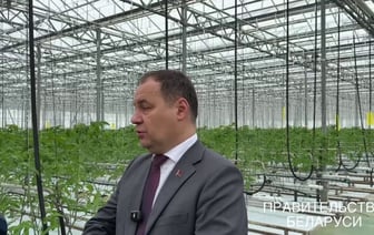 Головченко пообещал снижение цен на белорусские овощи в межсезонье. За счёт чего?