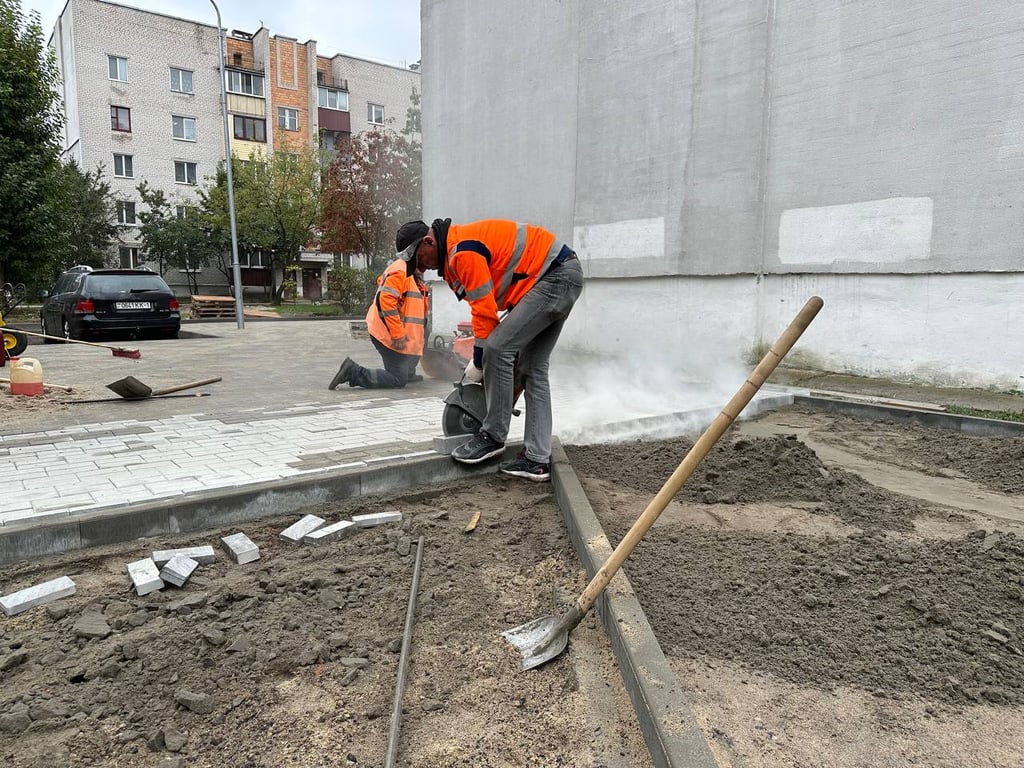 Брест становится зеленее: более 24 тысяч деревьев к концу 2024 года