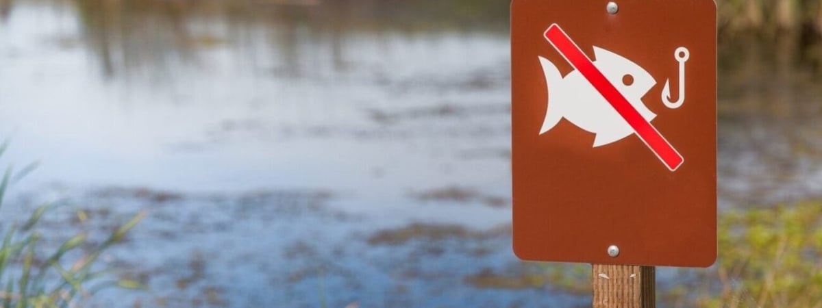 В Беларуси во время нереста ограничили рыбалку — какой штраф можно получить за нарушения