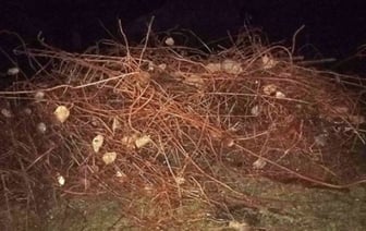 В Пружанском районе лесоруб похитил более двух тонн металлолома со стройобъекта