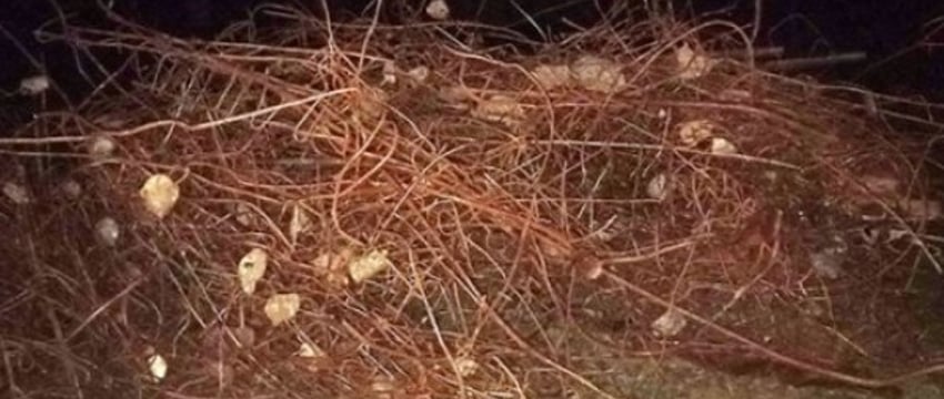 В Пружанском районе лесоруб похитил более двух тонн металлолома со стройобъекта