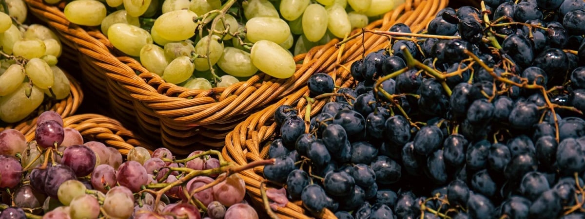 Что произойдет, если съесть виноград прямо с косточками? Диетолог рассказала, когда точно не стоит — Полезно