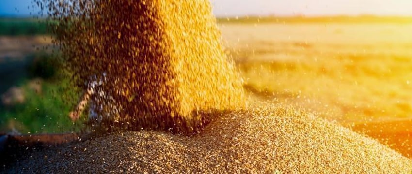 Евросоюз вводит запретительные пошлины на зерно из Беларуси и России