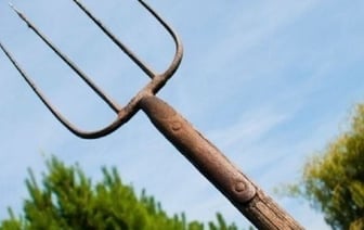 В Лунинце пенсионер приставил вилы к горлу девушки. Что не поделили?