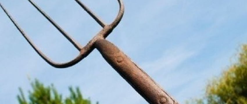 В Лунинце пенсионер приставил вилы к горлу девушки. Что не поделили?