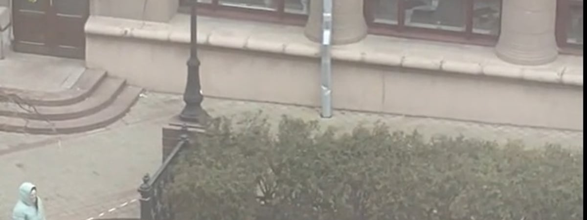 «Зачем они пилят живые деревья?» — Белорусы возмутились вырубке насаждений на улицах Минска — Видео