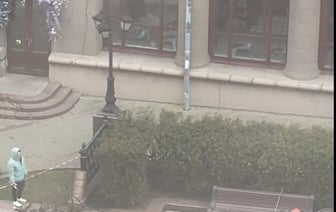 «Зачем они пилят живые деревья?» — Белорусы возмутились вырубке насаждений на улицах Минска — Видео